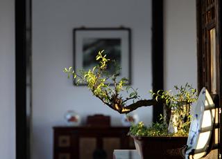 昆明云安阳光城150平装修案例   清雅的中式混搭风格