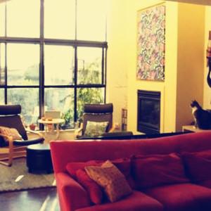 装修流程：给您一个贴心备至的享受